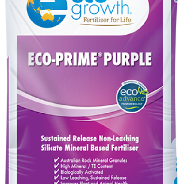 Eco-Prime Purple