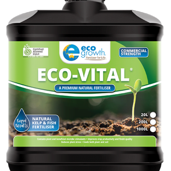 Eco-Vital